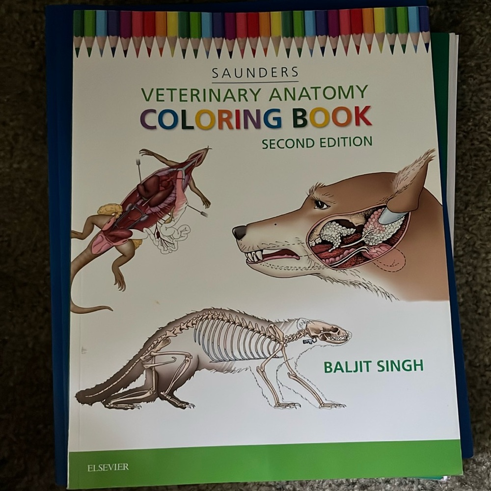 Saunders Vet Anatomy Coloring Book